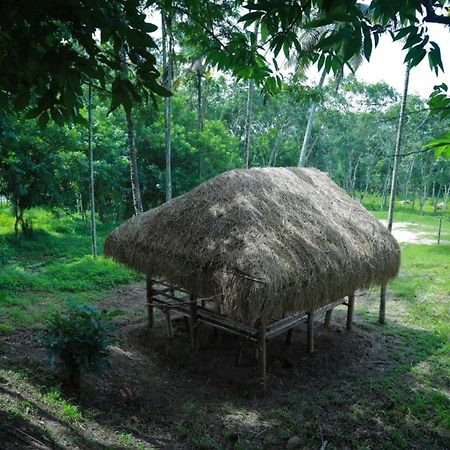 Royal Wooden Villa Mananthavady Luaran gambar