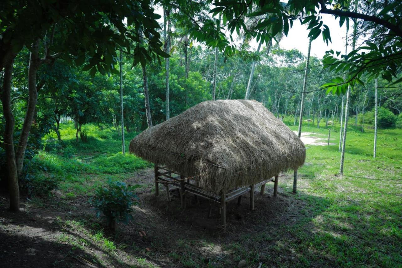 Royal Wooden Villa Mananthavady Luaran gambar