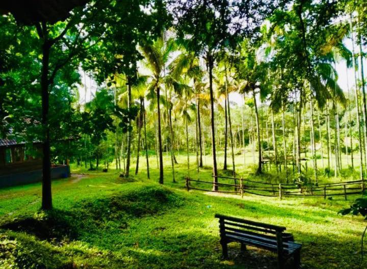 Royal Wooden Villa Mananthavady Luaran gambar